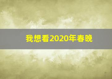 我想看2020年春晚