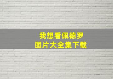 我想看佩德罗图片大全集下载