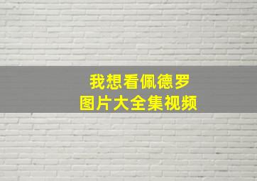 我想看佩德罗图片大全集视频