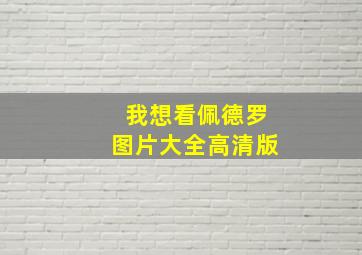 我想看佩德罗图片大全高清版