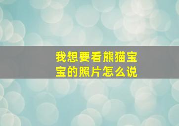 我想要看熊猫宝宝的照片怎么说