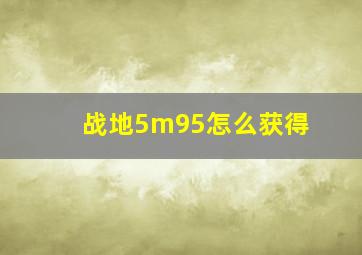 战地5m95怎么获得