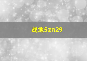 战地5zn29