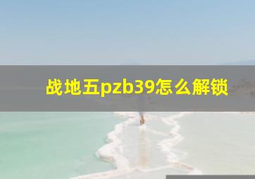 战地五pzb39怎么解锁