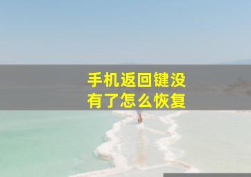 手机返回键没有了怎么恢复