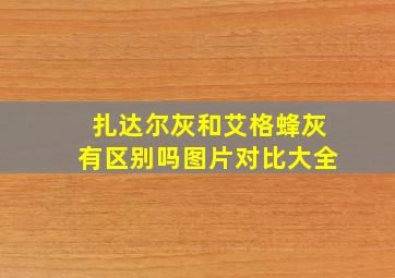 扎达尔灰和艾格蜂灰有区别吗图片对比大全