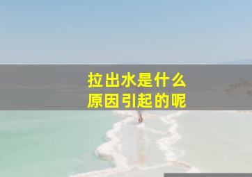 拉出水是什么原因引起的呢