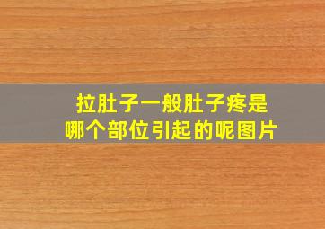 拉肚子一般肚子疼是哪个部位引起的呢图片