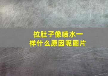 拉肚子像喷水一样什么原因呢图片