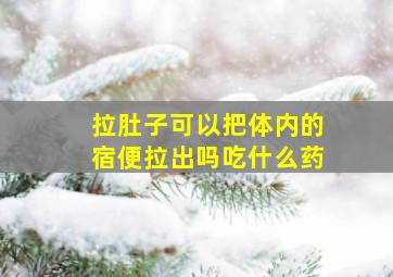 拉肚子可以把体内的宿便拉出吗吃什么药