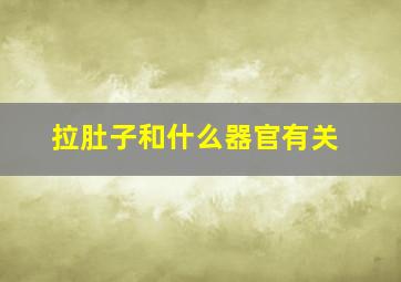 拉肚子和什么器官有关