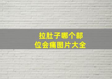 拉肚子哪个部位会痛图片大全