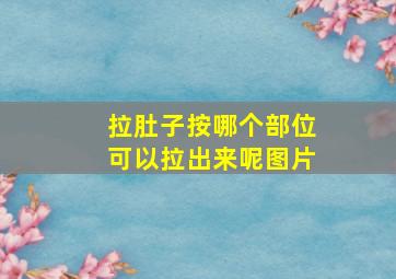 拉肚子按哪个部位可以拉出来呢图片