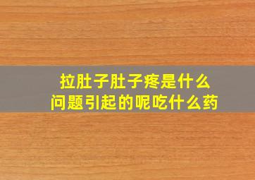 拉肚子肚子疼是什么问题引起的呢吃什么药