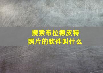 搜索布拉德皮特照片的软件叫什么