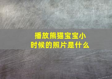 播放熊猫宝宝小时候的照片是什么