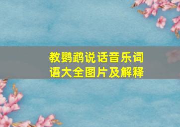 教鹦鹉说话音乐词语大全图片及解释