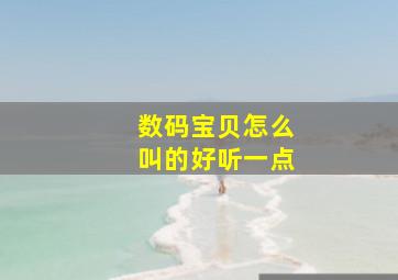 数码宝贝怎么叫的好听一点