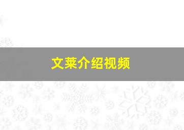 文莱介绍视频