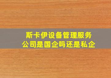 斯卡伊设备管理服务公司是国企吗还是私企