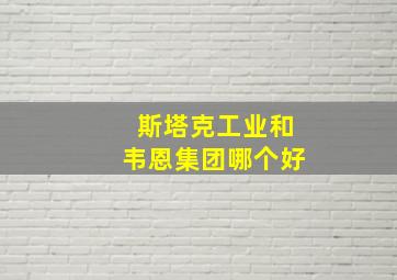 斯塔克工业和韦恩集团哪个好