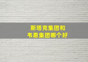 斯塔克集团和韦恩集团哪个好