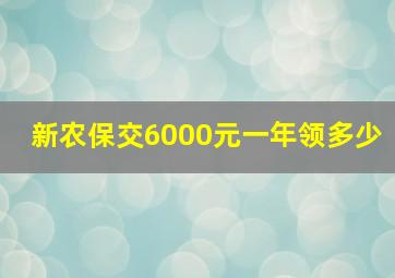 新农保交6000元一年领多少