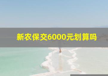 新农保交6000元划算吗