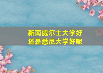 新南威尔士大学好还是悉尼大学好呢