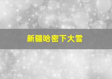 新疆哈密下大雪