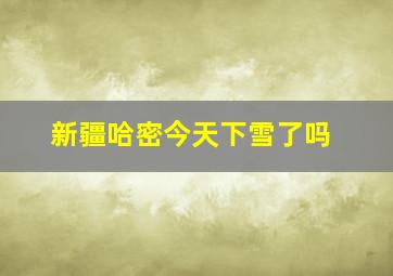 新疆哈密今天下雪了吗