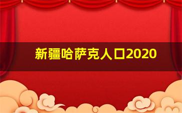 新疆哈萨克人口2020