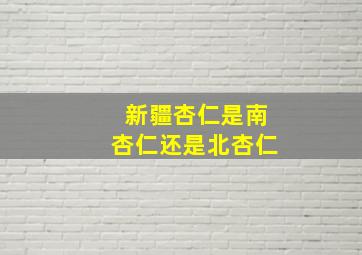 新疆杏仁是南杏仁还是北杏仁