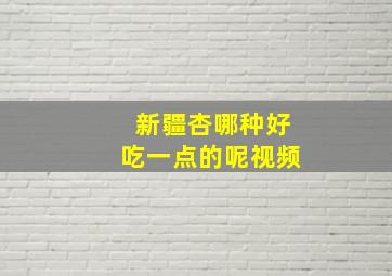 新疆杏哪种好吃一点的呢视频