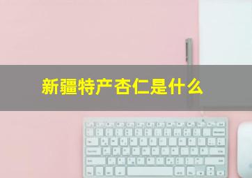 新疆特产杏仁是什么