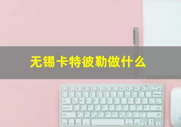 无锡卡特彼勒做什么