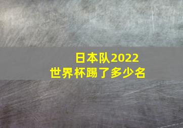 日本队2022世界杯踢了多少名