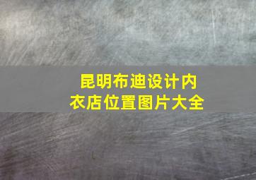 昆明布迪设计内衣店位置图片大全