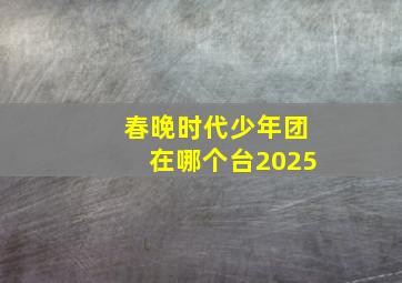 春晚时代少年团在哪个台2025