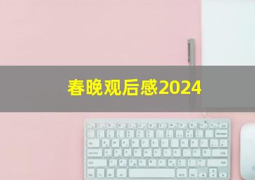 春晚观后感2024