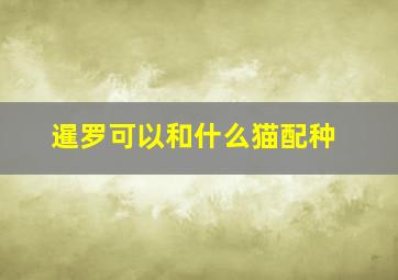 暹罗可以和什么猫配种