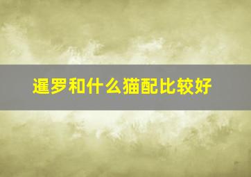 暹罗和什么猫配比较好