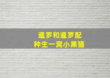 暹罗和暹罗配种生一窝小黑猫