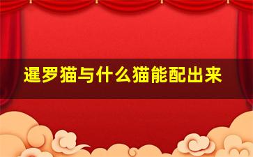 暹罗猫与什么猫能配出来