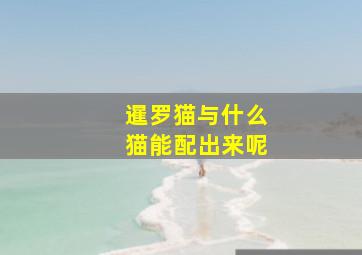 暹罗猫与什么猫能配出来呢