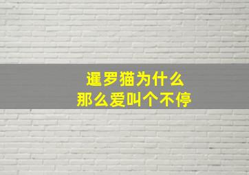 暹罗猫为什么那么爱叫个不停