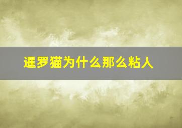 暹罗猫为什么那么粘人