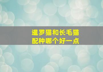 暹罗猫和长毛猫配种哪个好一点