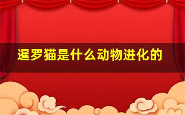 暹罗猫是什么动物进化的