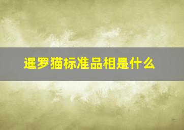 暹罗猫标准品相是什么